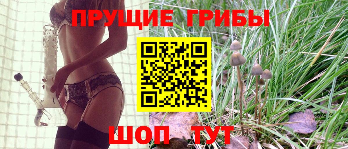 Алатырь  Галлюциногенные грибы прущие грибы  Вход с VPN 