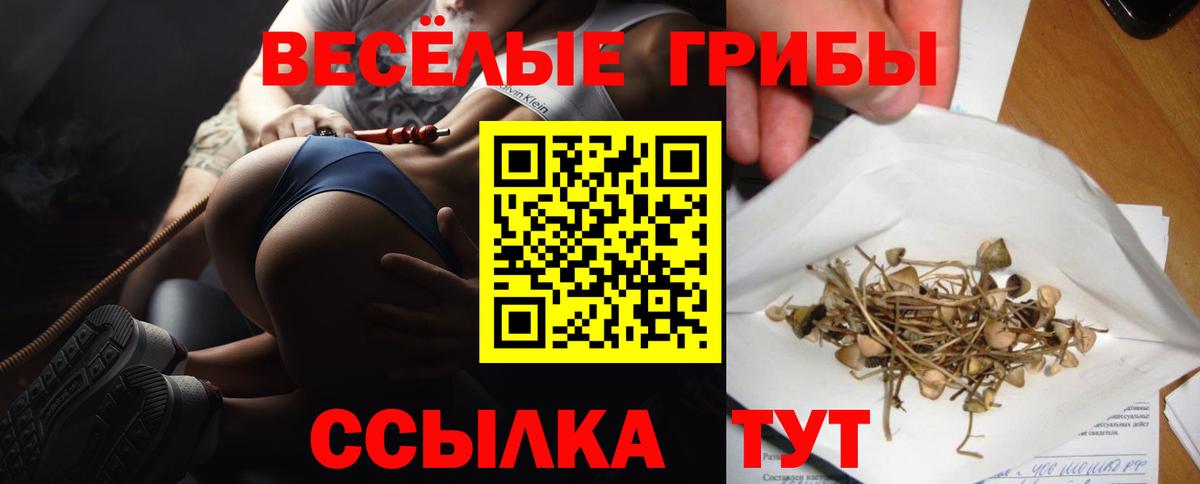 Псилоцибиновые грибы мухоморы Алатырь